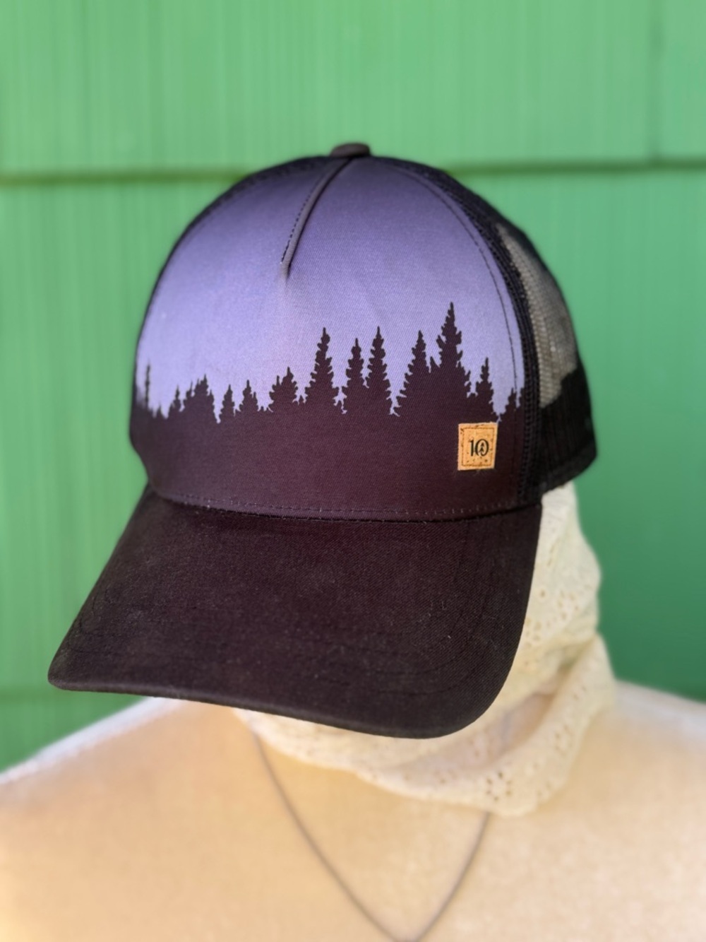 Tentree Snap-back Baseball Hat